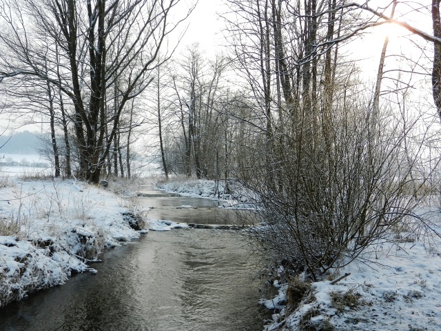 Winterimpressionen an der Ecknach (B300).